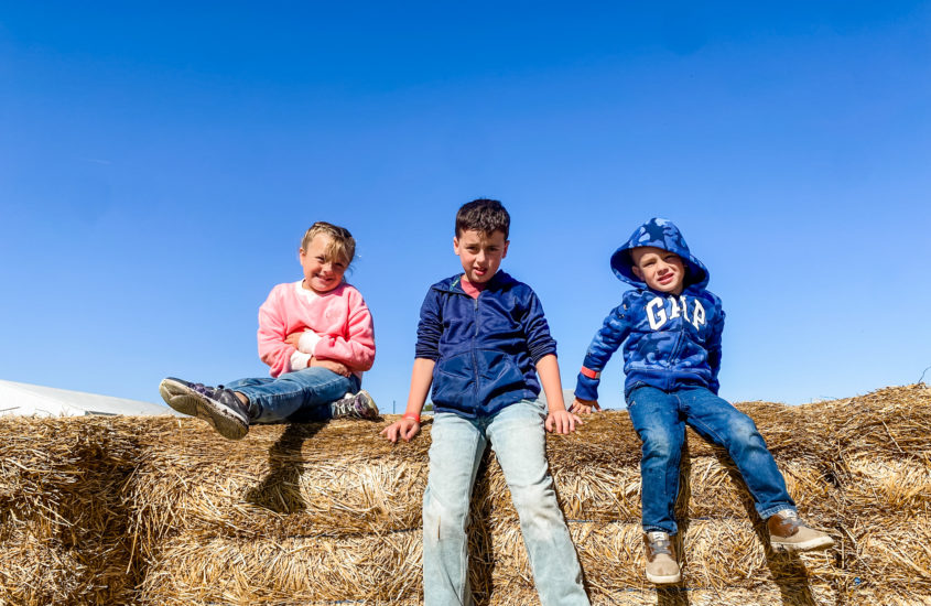 Crossway Farms